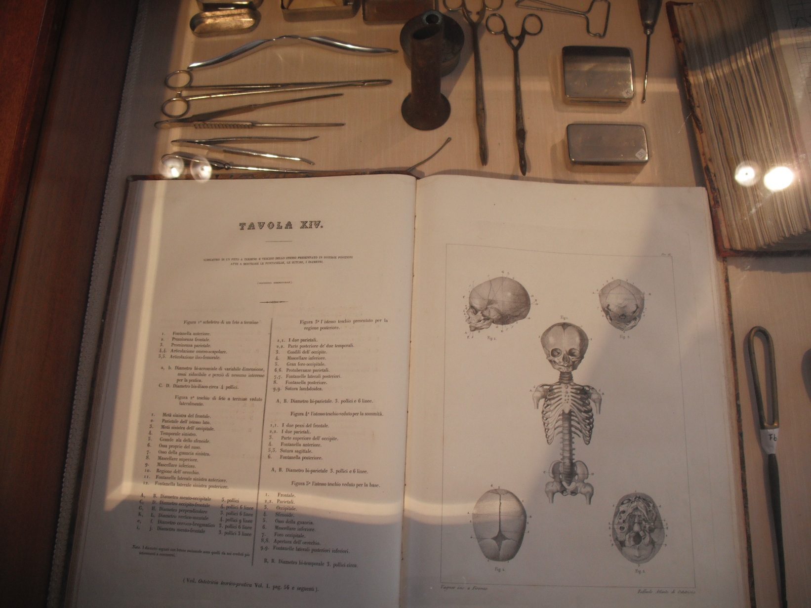 Francesco Durante S Collection